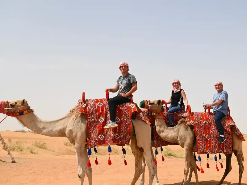 Safari nel Deserto con Pernottamento in Campo Desertico